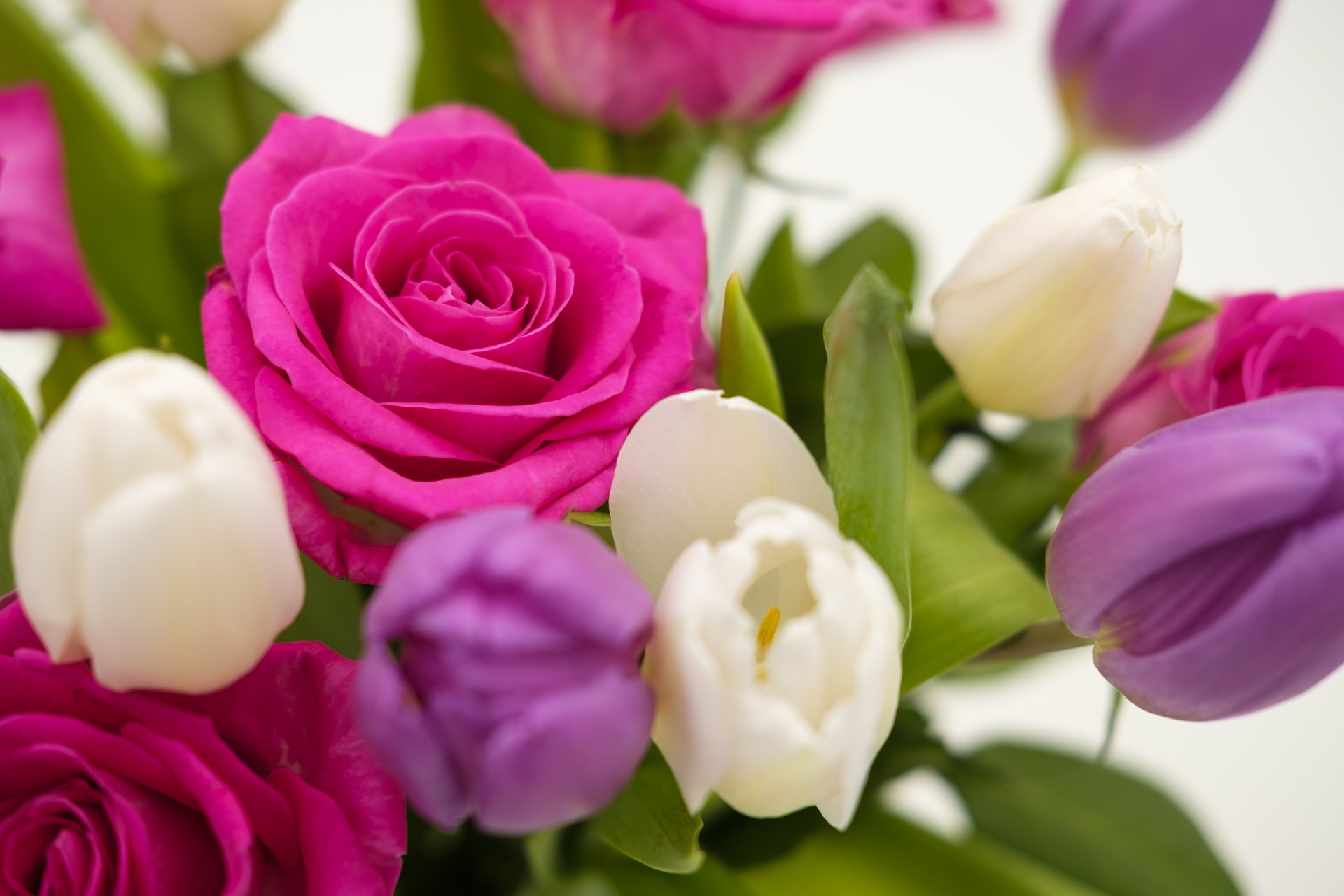 Фото красиво сочетающихся роз и тюльпанов