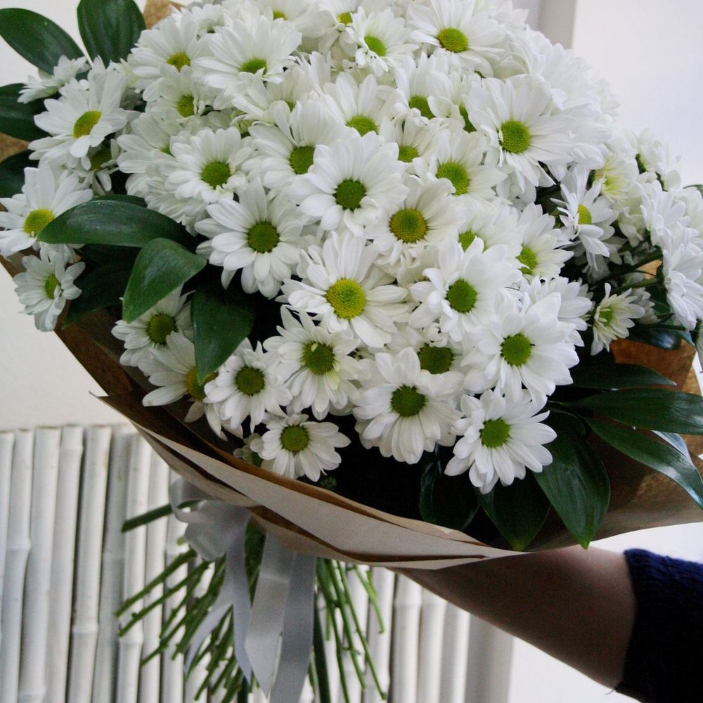 Фото букета из белых хризантем