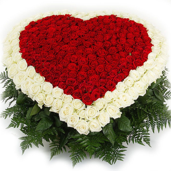 Огромный букет роз "Пылающее сердце" (101 или 301 роза)